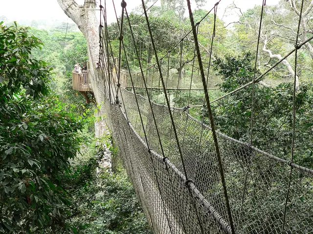 Canopy walkway at Kakum National Park