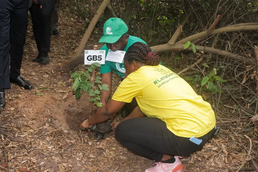 Tree planting activity in Ghana