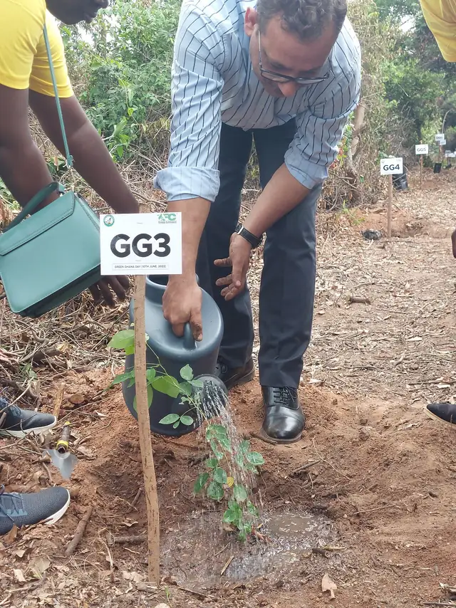 Tree planting initiative in Ghana